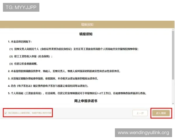 问鼎注册登录入口安全登录流程详解保障玩家账号信息安全与顺畅登录体验