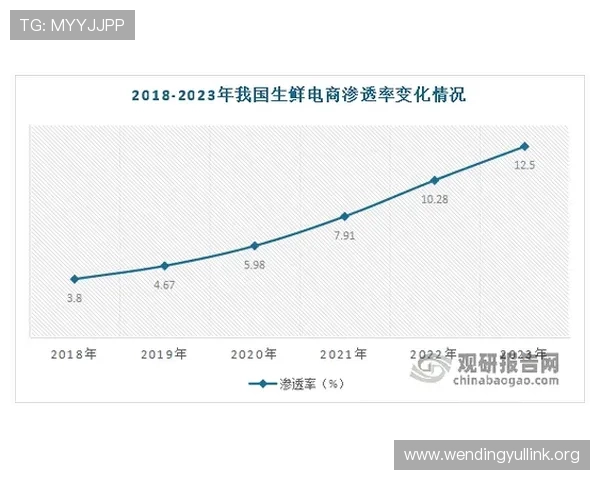 问鼎网页：结合用户需求与市场趋势，打造具有问鼎潜力的专业网页解决方案