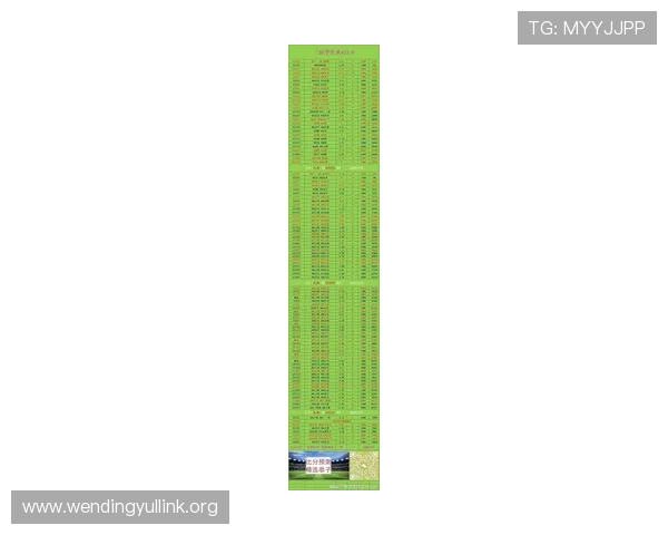 南非与墨西哥球员评分排名及比赛亮点总结与分析报告